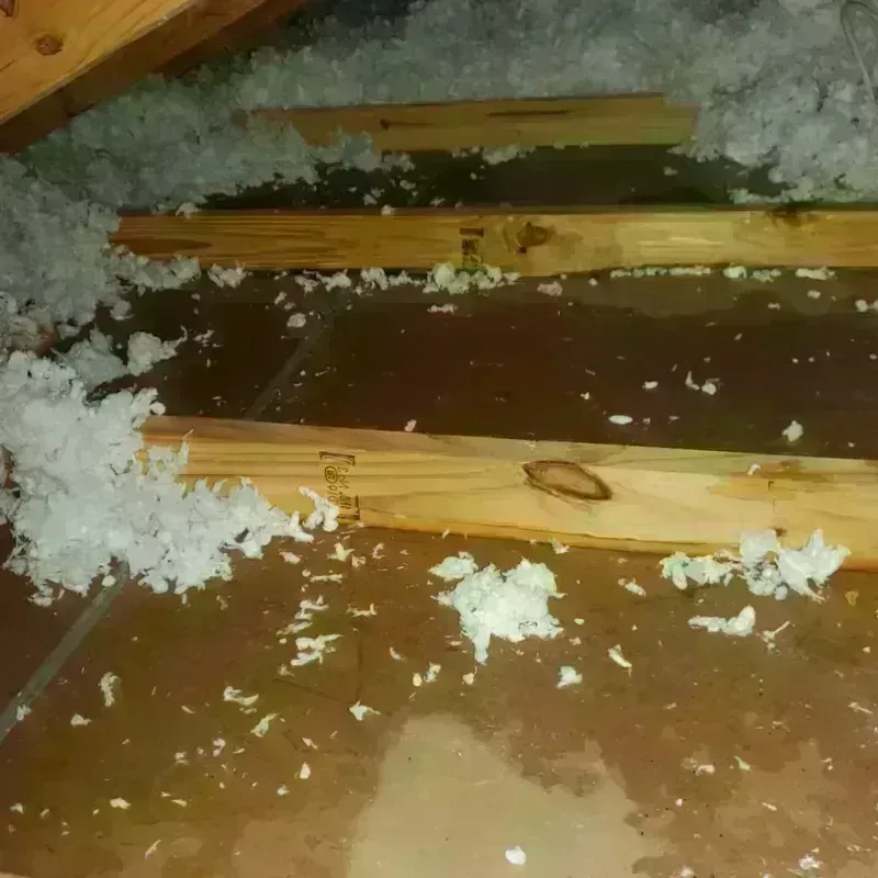 Attic Water Damage in Lake Crystal, MN