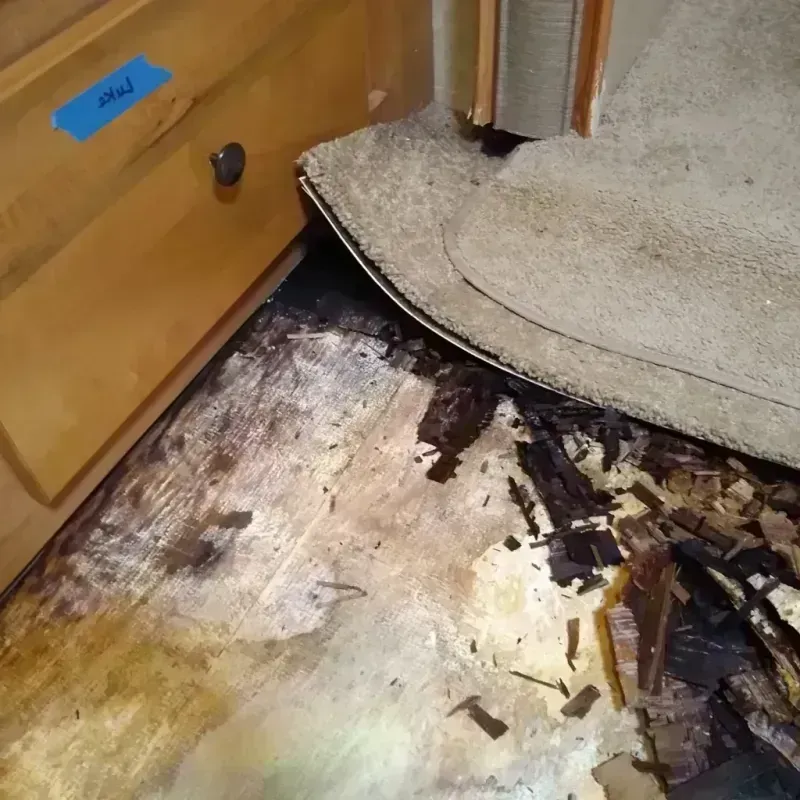 Wood Floor Water Damage in Lake Crystal, MN